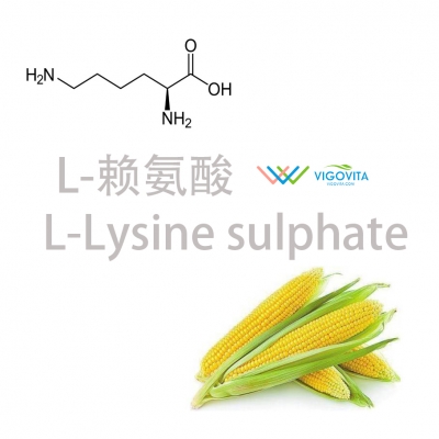 L-赖氨酸硫酸盐